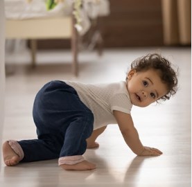 Glue Down LVT Flooring: The High-Stability Choice for Flooring